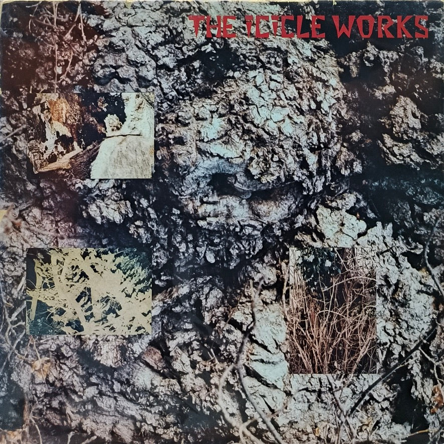 The Icicle works - The Icicle Works