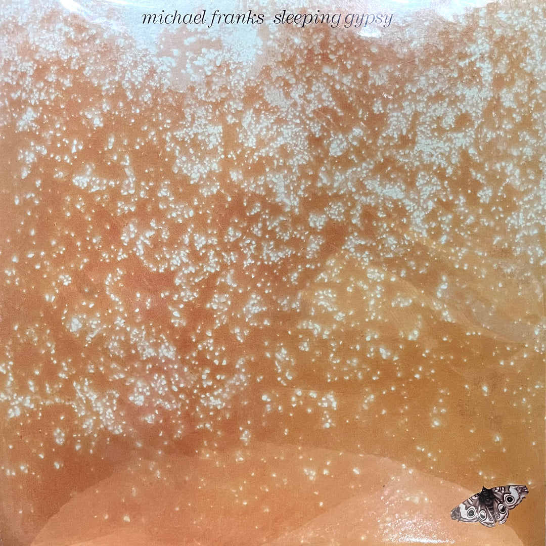 Michael Franks - Sleeping Gypsy