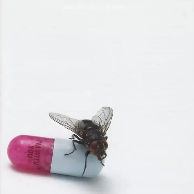 Red Hot Chili Peppers - I'm With You