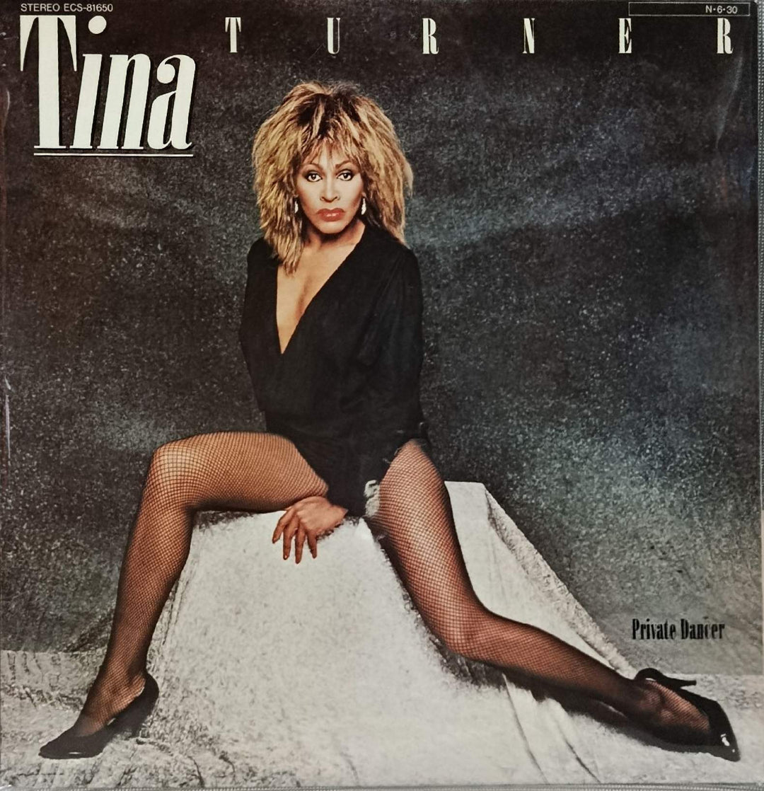 Tina Turner - Private Dancer