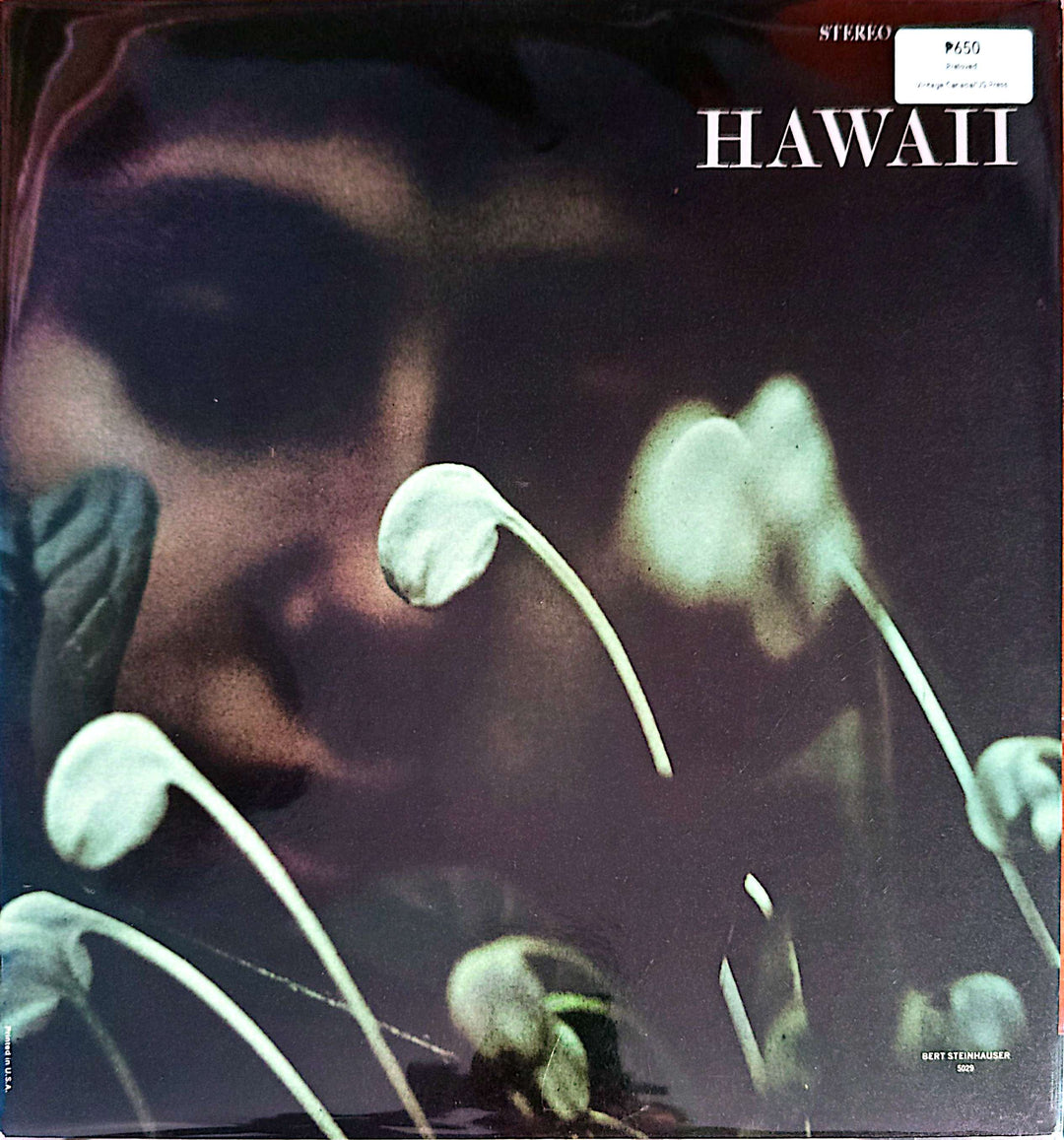 Hawaii - Hawaii (Instrumental)