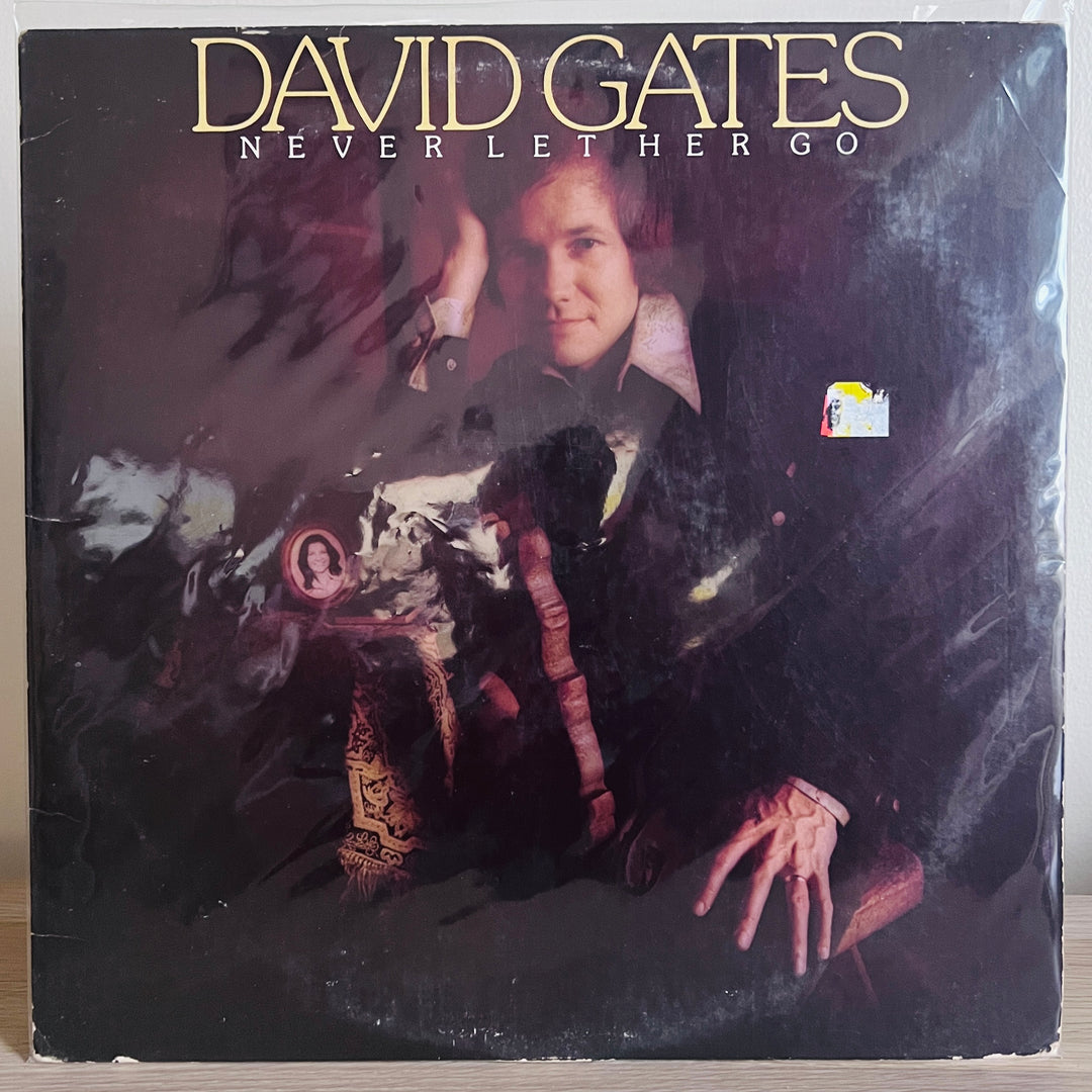 David Gates - Never Let Her Go