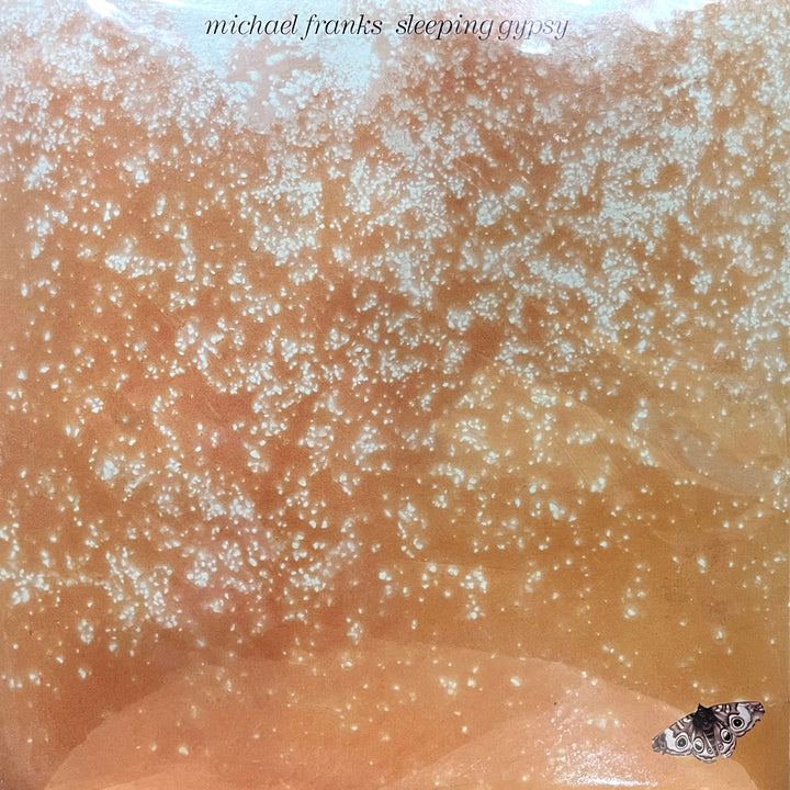 Michael Franks - Sleeping Gypsy