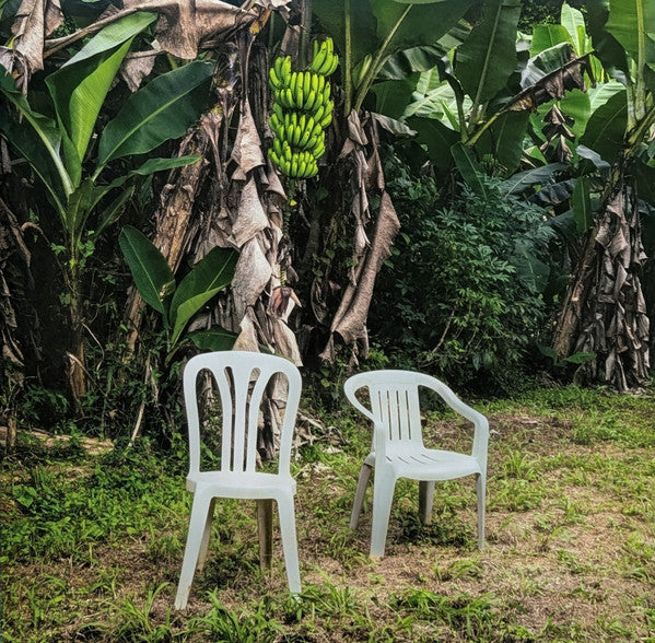 Bad Bunny - Debí Tirar Más Fotos