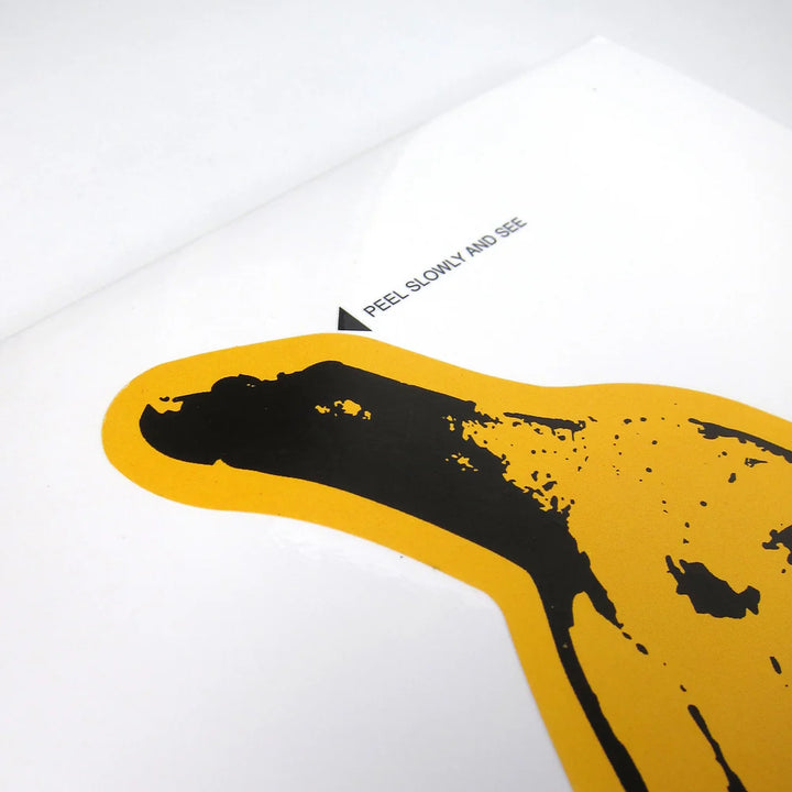 Velvet Underground & Nico  - Velvet Underground & Nico